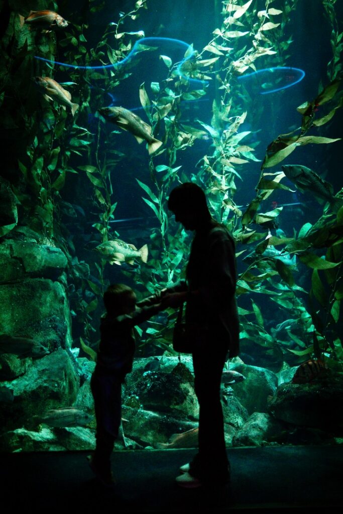 people stand in front of a wall-sized aquarium.
