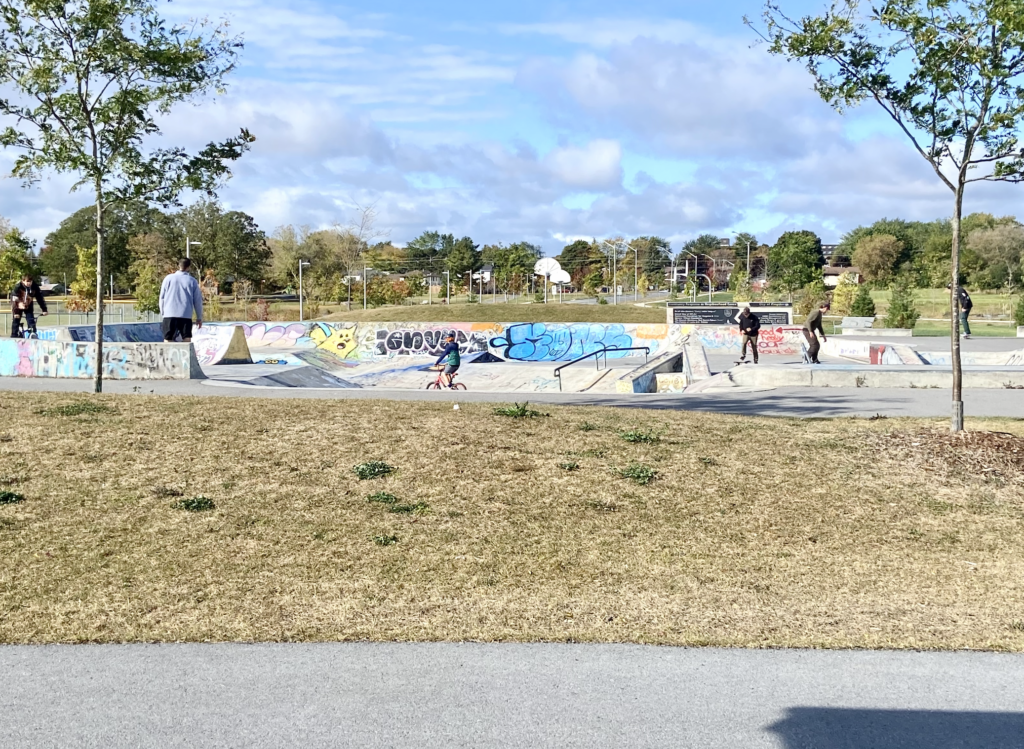 Kids and adults skateboard and bike at a skate park.